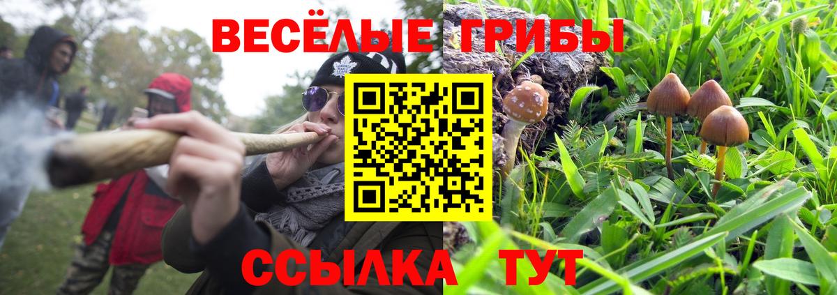 Псилоцибиновые грибы GOLDEN TEACHER  Вход с VPN  Заинск 