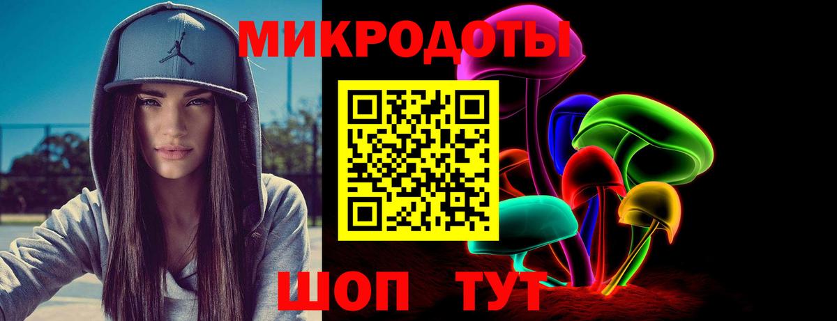 Псилоцибиновые грибы Psilocybine cubensis Заинск